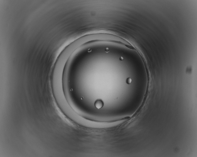 X0000110700813200906261406