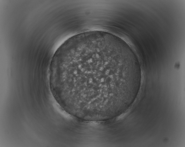 X0000110700814200906261406