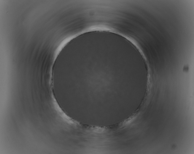 X0000110700815200906261406