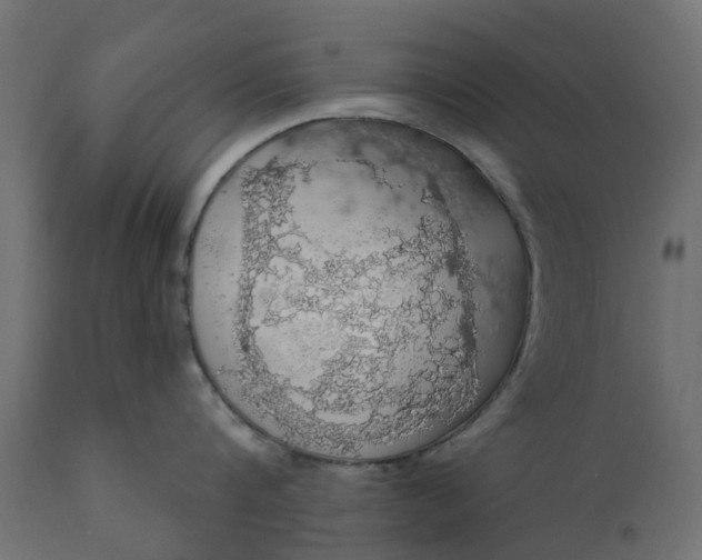 X0000110700816200906261406