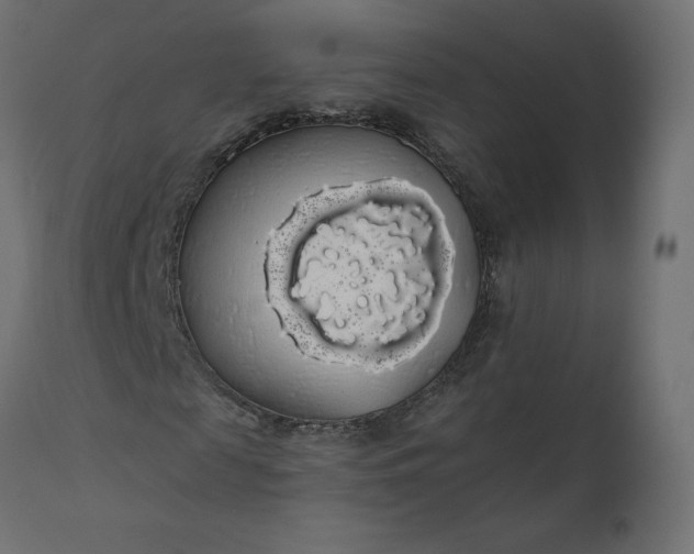 X0000110700817200906261405