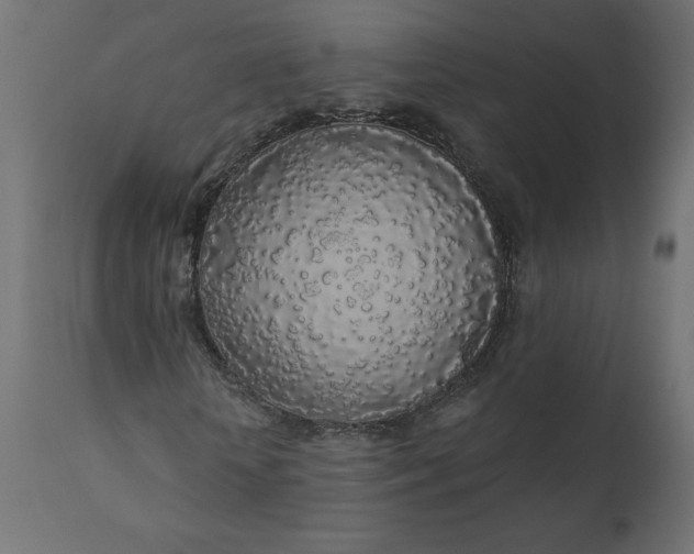 X0000110700818200906261405