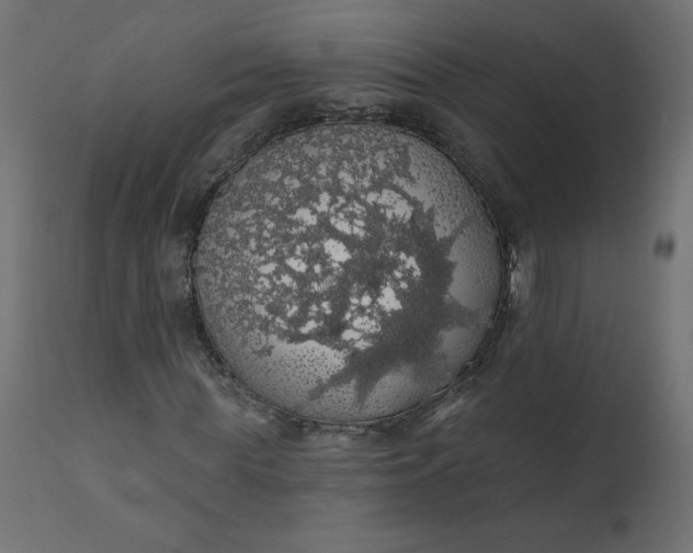 X0000110700819200906261405