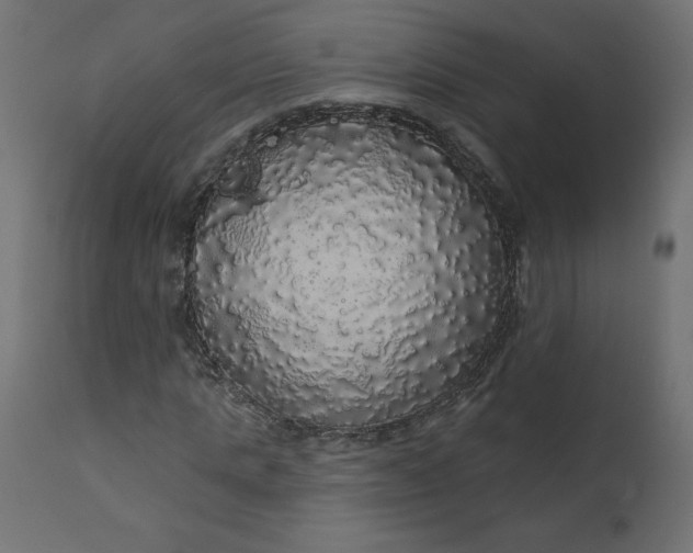 X0000110700821200906261405