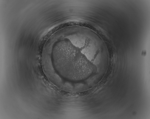 X0000110700822200906261405