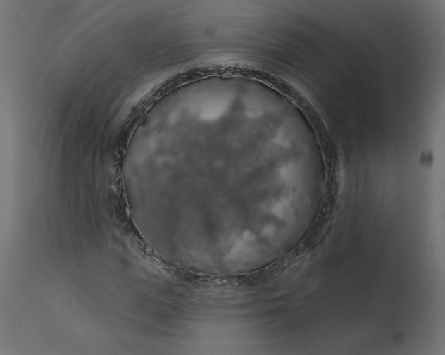 X0000110700823200906261405