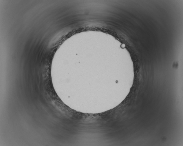 X0000110700824200906261405