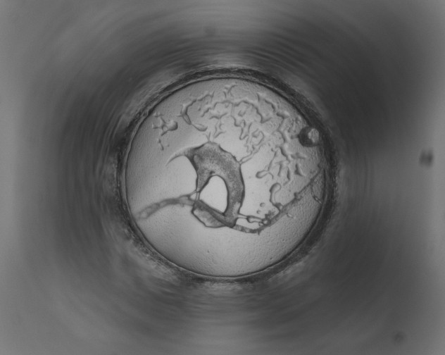 X0000110700825200906261405