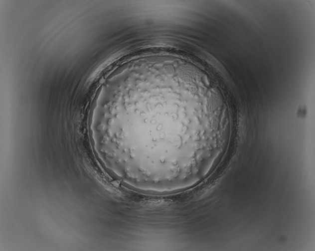 X0000110700826200906261405