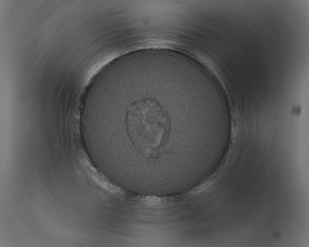 X0000110700827200906261405