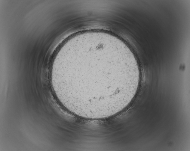 X0000110700828200906261405