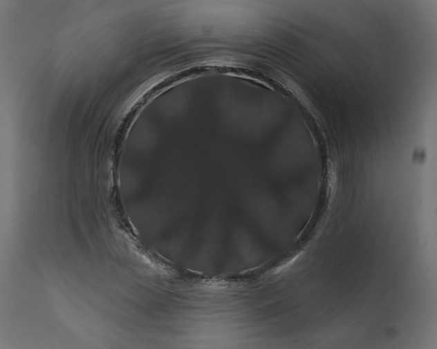 X0000110700829200906261405