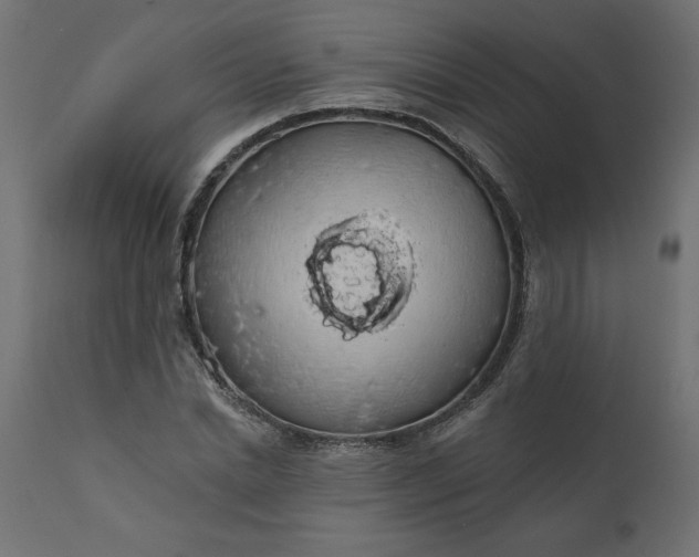 X0000110700830200906261405