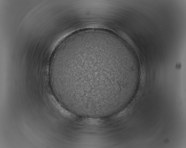 X0000110700831200906261405