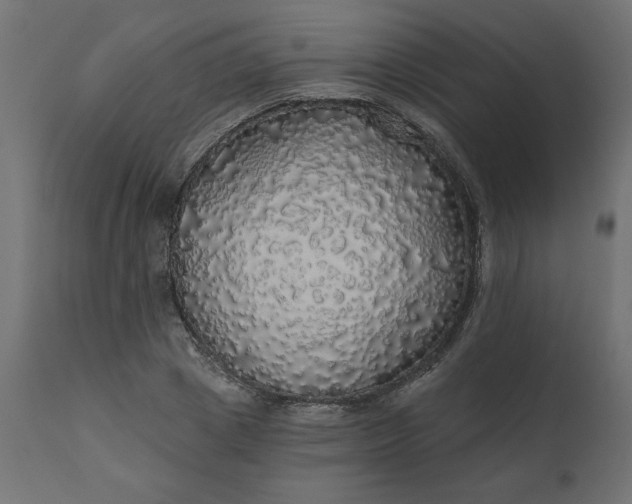 X0000110700833200906261405