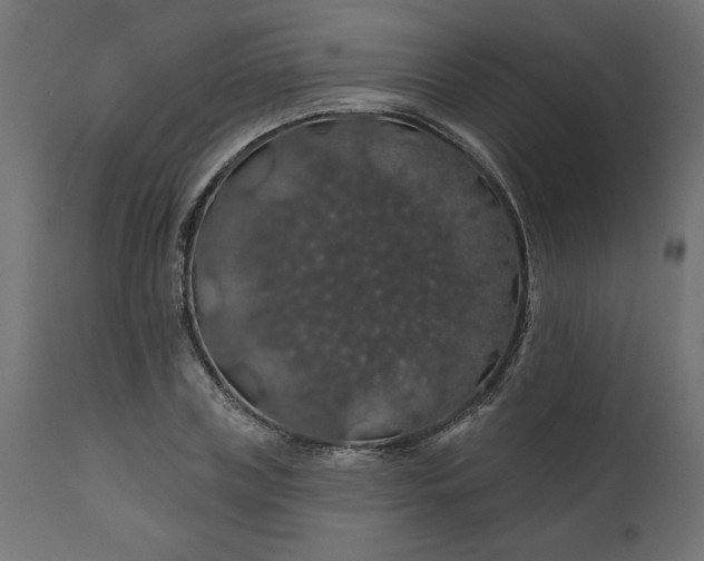 X0000110700835200906261405