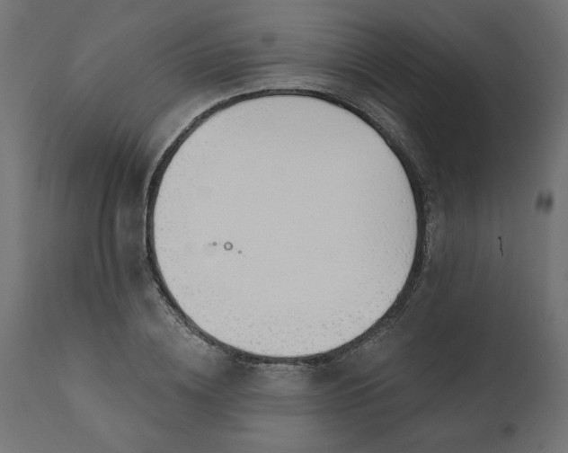 X0000110700836200906261405