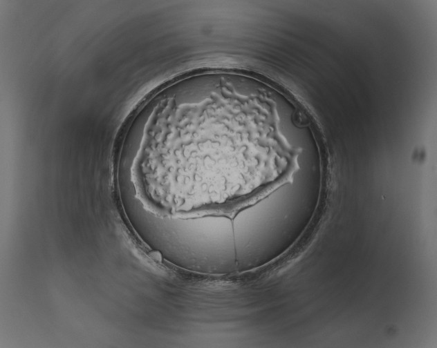 X0000110700837200906261405