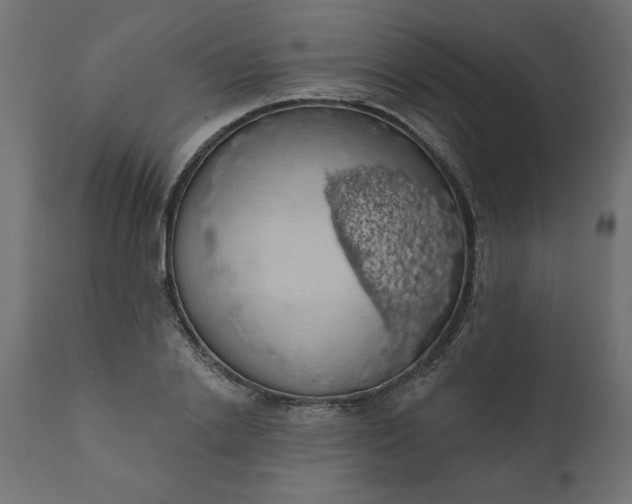 X0000110700838200906261405