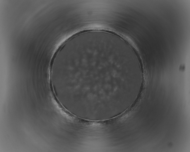 X0000110700839200906261406