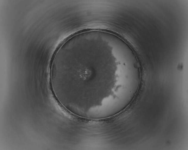 X0000110700840200906261406