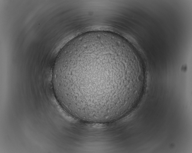 X0000110700841200906261406