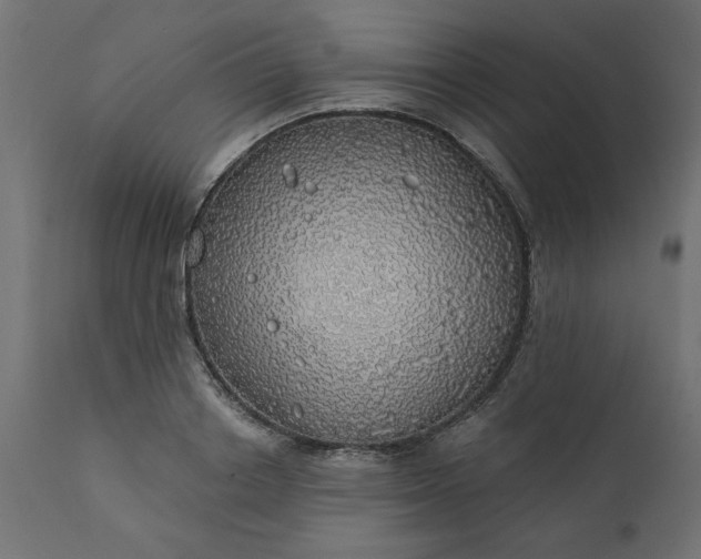 X0000110700842200906261406