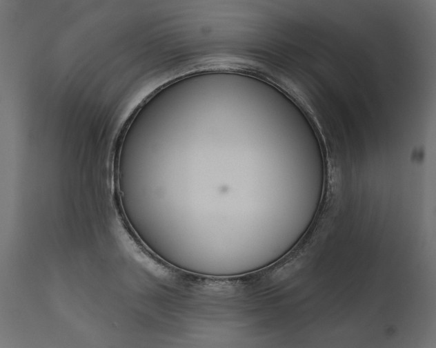 X0000110700843200906261406