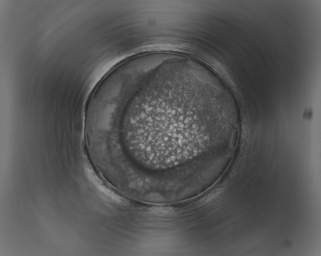 X0000110700844200906261406