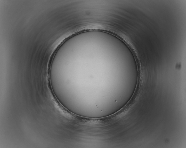 X0000110700845200906261406