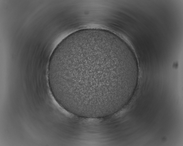 X0000110700847200906261406