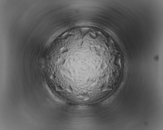 X0000110700849200906261406