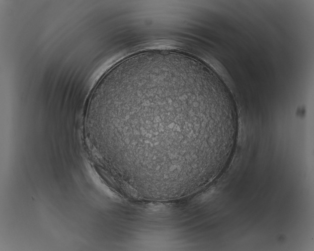 X0000110700850200906261406