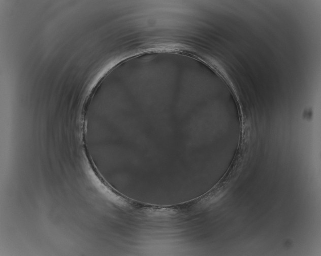 X0000110700851200906261406