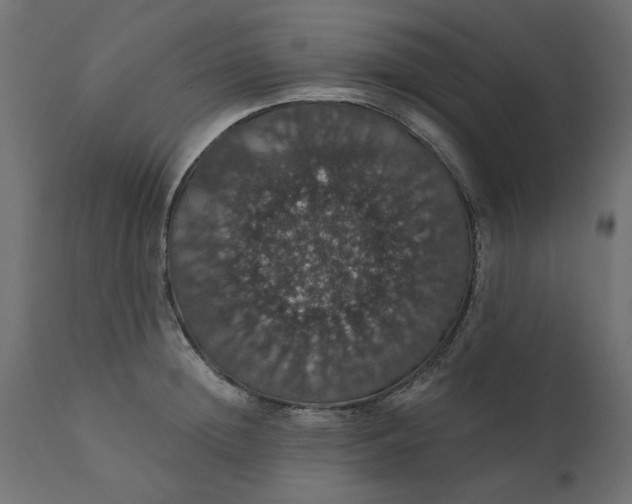 X0000110700852200906261406