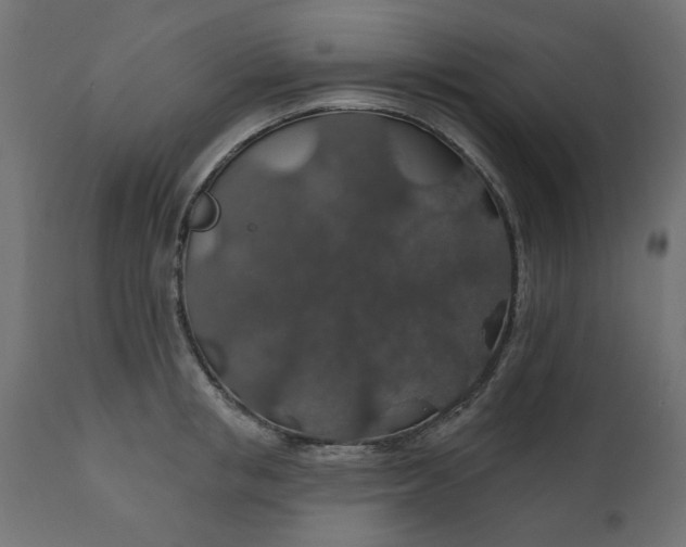 X0000110700853200906261406