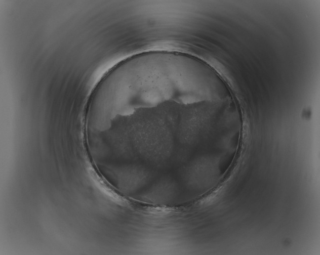 X0000110700854200906261406