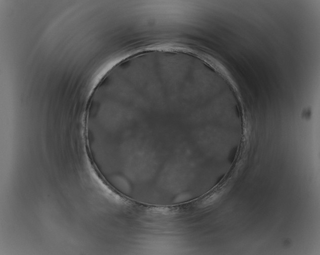 X0000110700855200906261406