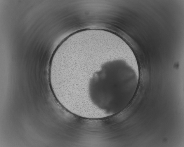 X0000110700856200906261406