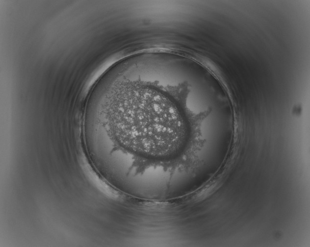 X0000110700859200906261406