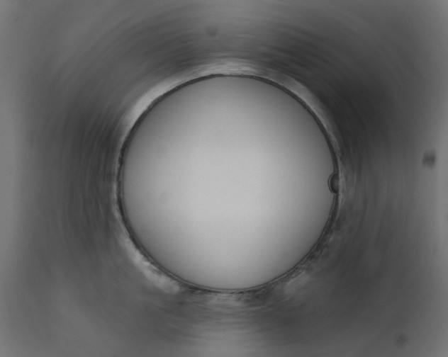 X0000110700861200906261406