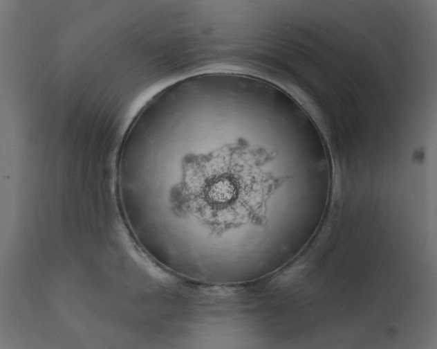 X0000110700862200906261406