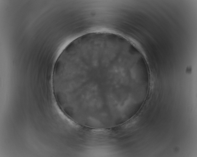 X0000110700863200906261406