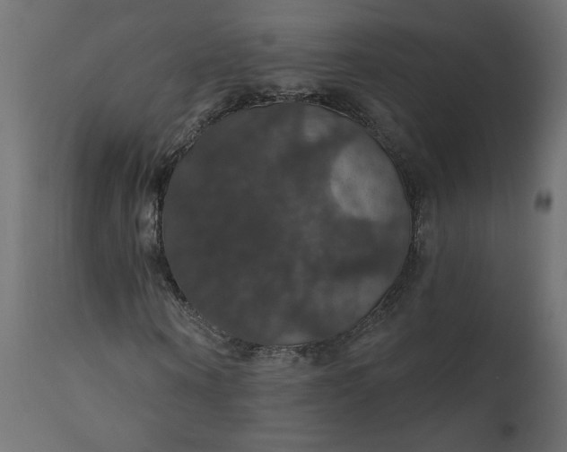 X0000110700866200906261405