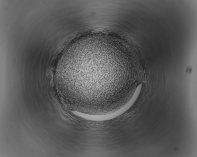 X0000110700868200906261405