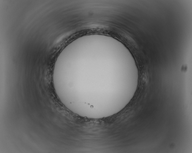 X0000110700869200906261405