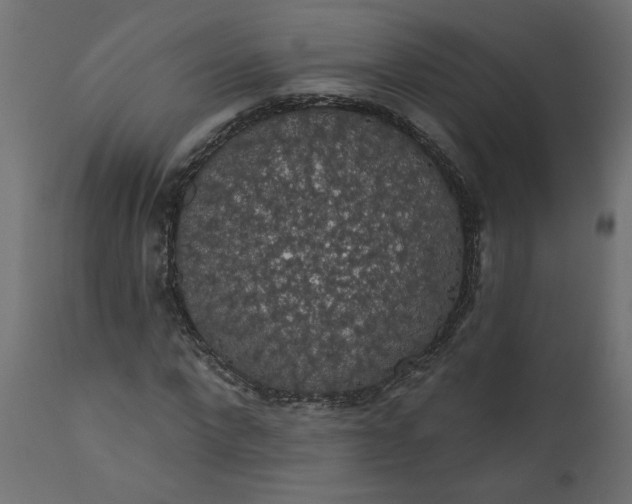 X0000110700872200906261405