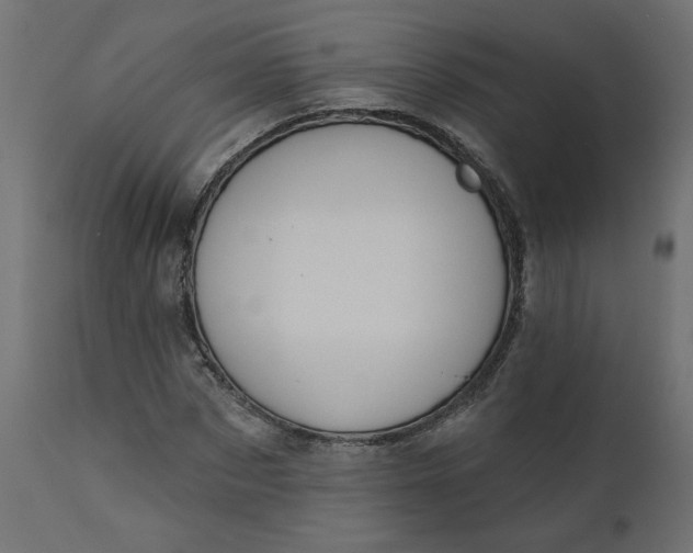 X0000110700873200906261405