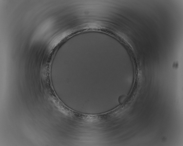 X0000110700874200906261405