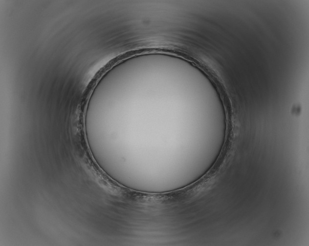 X0000110700875200906261405